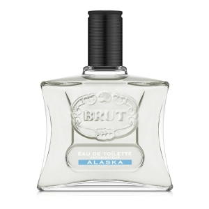 Brut AfterShave Alaska 100 ml - Brut