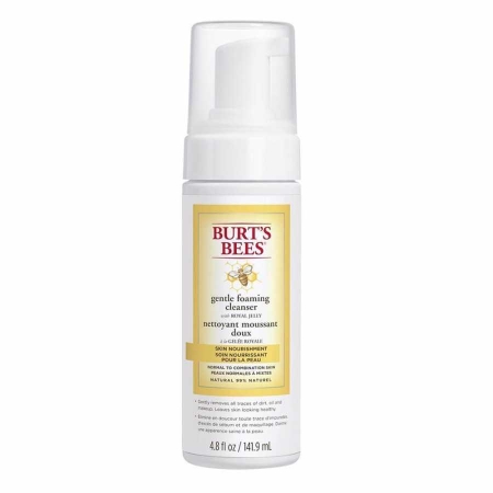 Burt's Bees Skin Nourishment Gentle Foaming Cleanser 4.8 fl oz/141.6 ml - 1